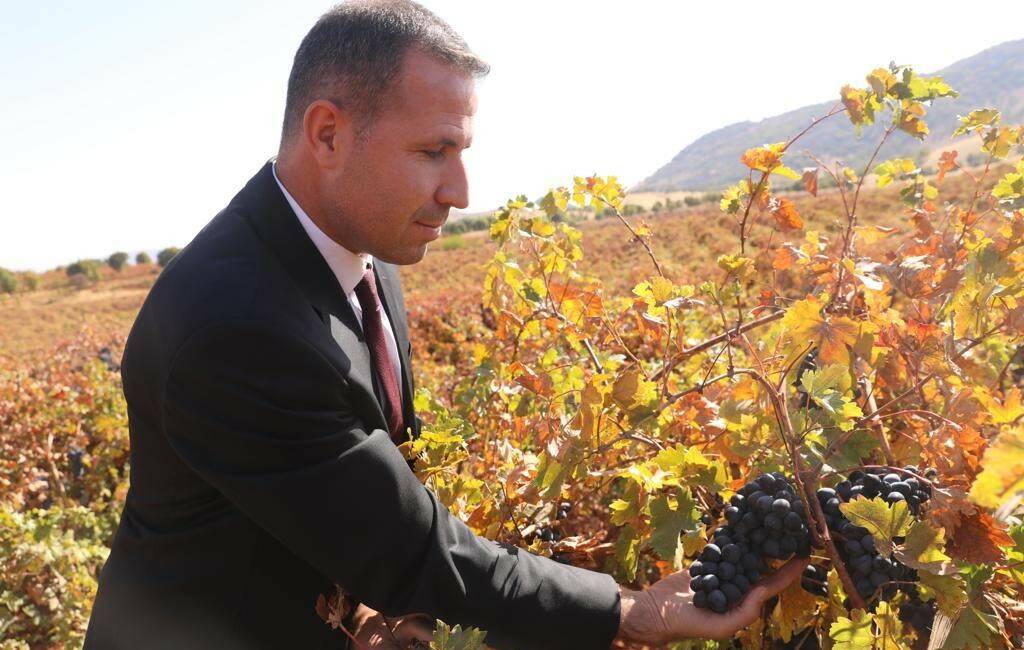 Dicle ilçesinde modern bağcılığın geliştirilmesi projesi kapsamında yüzde 50 hibeli