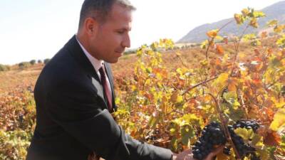 Dicle ilçesinde modern bağcılığın geliştirilmesi projesi kapsamında yüzde 50 hibeli