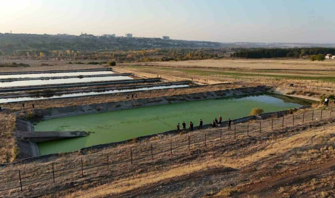 Dicle Üniversitesi Tıp Fakültesi Hastanesi'ne sevk edilen ve kaybolan polis