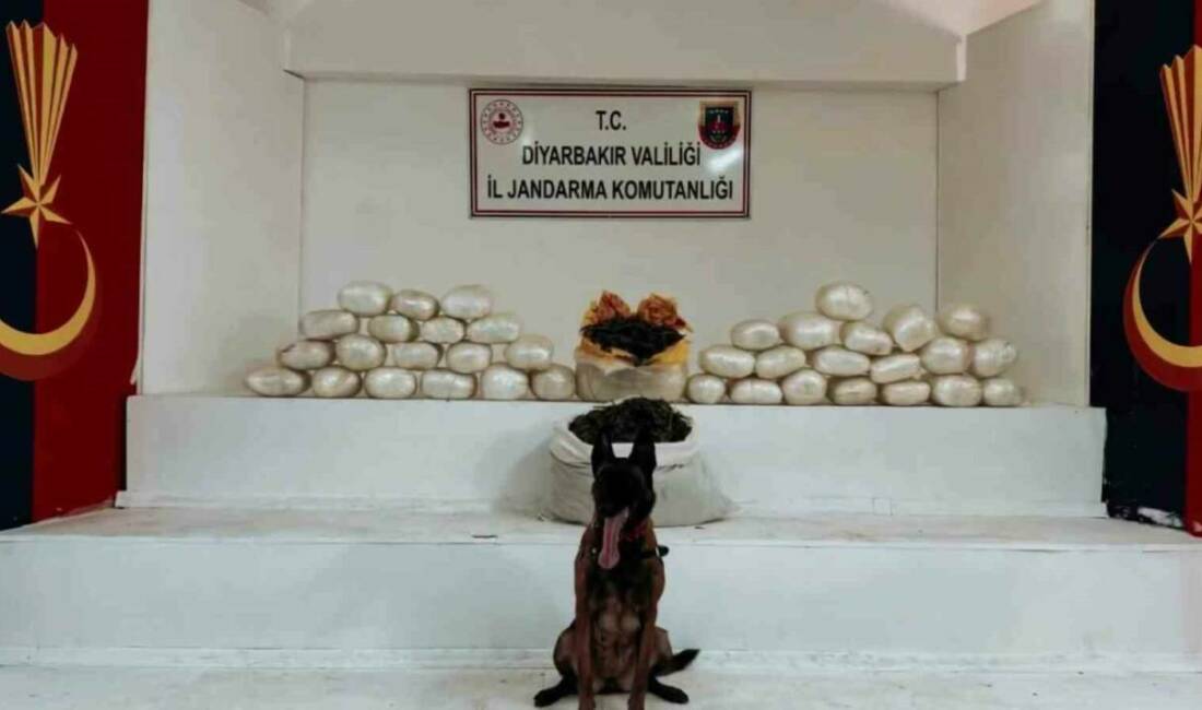 Diyarbakır’ın Lice ilçesinde jandarma ekiplerince gerçekleştirilen operasyonda 470 kilo skunk
