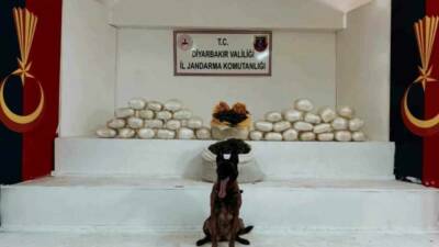 Diyarbakır’ın Lice ilçesinde jandarma ekiplerince gerçekleştirilen operasyonda 470 kilo skunk