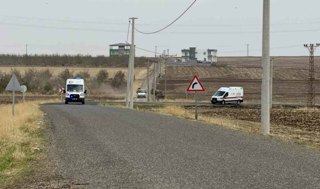 Diyarbakır’da akraba iki aile arasında kavga: 11 yaralı Diyarbakır'ın Sur ilçesinde akraba iki aile arasında çıkan kavgada 11