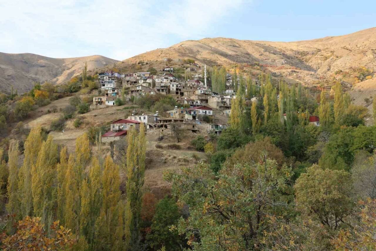 Diyarbakır'ın Çüngüş ilçesindeki kırsal Atalar Mahallesi'nde bulunan 150 haneli köy,