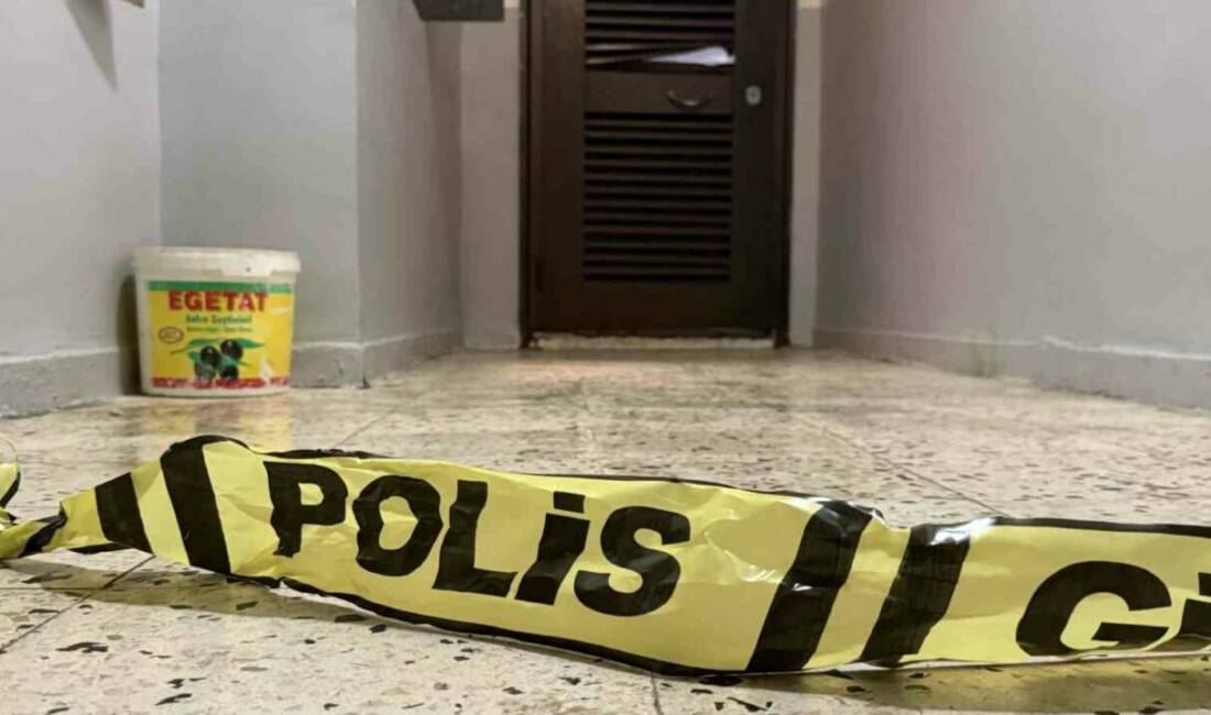 Diyarbakır'ın Bağlar ilçesinde bir kişi, annesini ve ağabeyini silahla öldürdü.