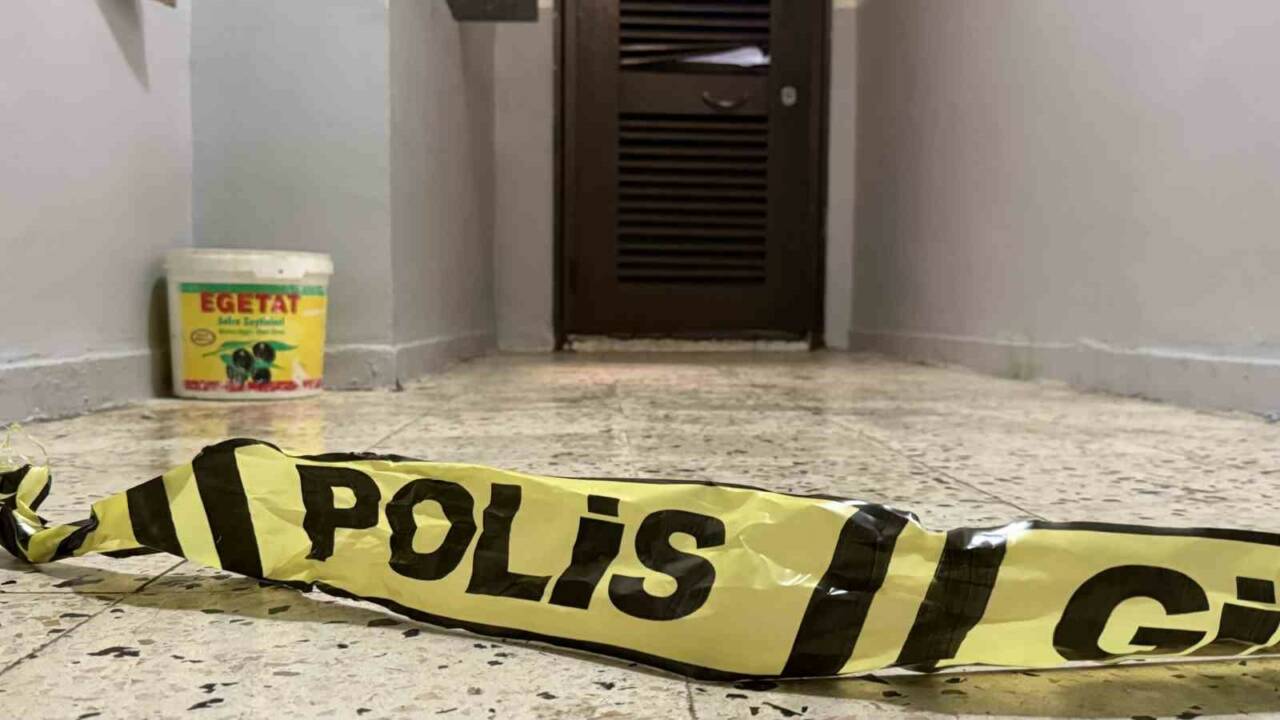 Diyarbakır'ın Bağlar ilçesinde bir kişi, annesini ve ağabeyini silahla öldürdü.