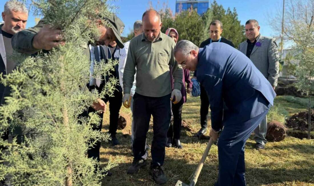 Diyarbakır’da Dünya Prematüre Günü etkinliği Diyarbakır Gazi Yaşargil Eğitim ve Araştırma Hastanesi, Dünya Prematüre Günü'nde