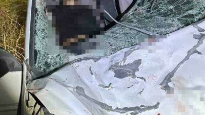 Silvan ilçesinde iki otomobil ile atın karıştığı kazada 1 kişi