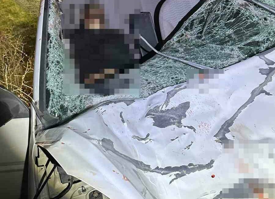 Diyarbakır’da iki otomobil ile at çarpıştı: 1 ölü, 7 yaralı Silvan ilçesinde iki otomobil ile atın karıştığı kazada 1 kişi