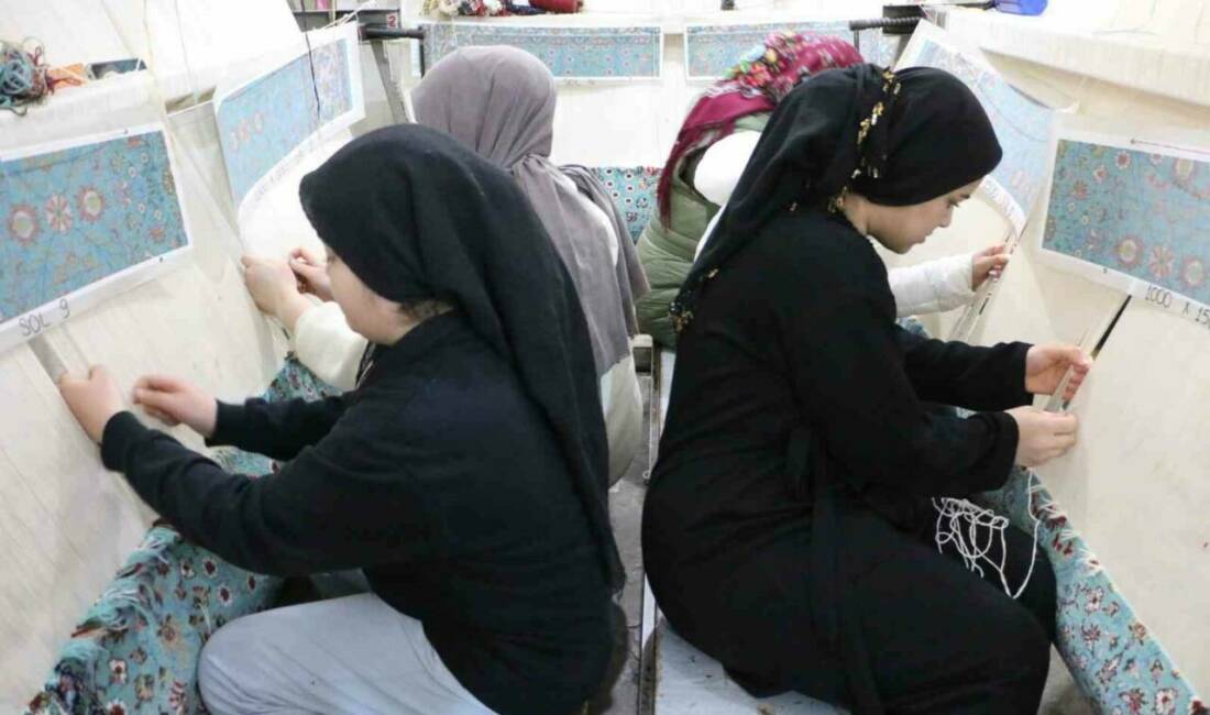 Diyarbakır'ın Bağlar ilçesindeki Muradiye Mahallesi'nde kadınlar, Avrupa ülkelerine sattıkları el