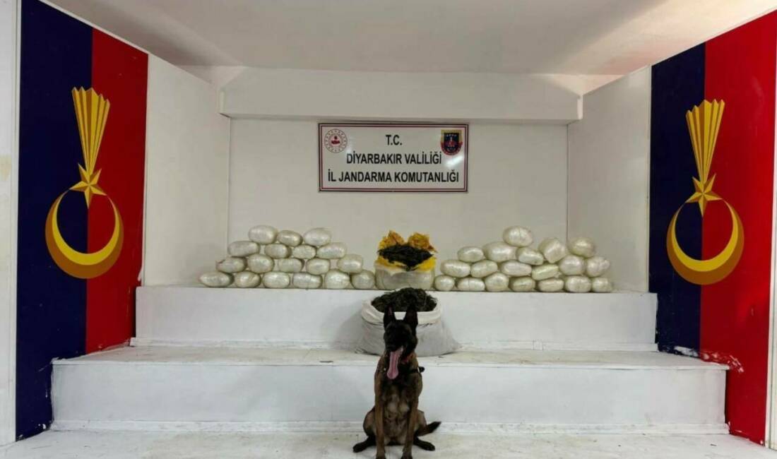 Diyarbakır’da jandarma ekipleri tarafından düzenlenen uyuşturucu operasyonunda, il genelinde 40