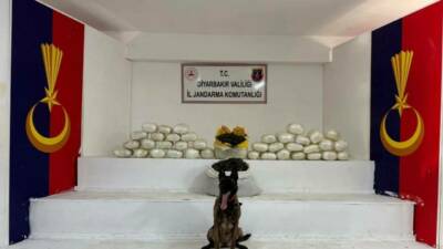 Diyarbakır’da jandarma ekipleri tarafından düzenlenen uyuşturucu operasyonunda, il genelinde 40