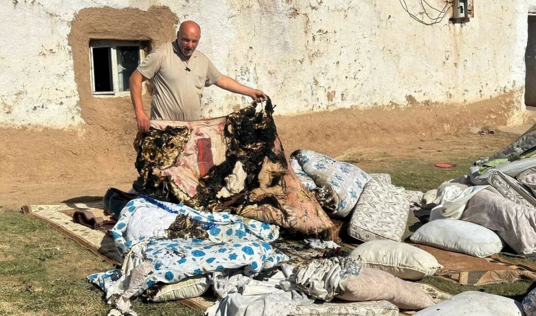 Şanlıurfa’nın Ceylanpınar ilçesinde bilinmeyen nedenlerle bir evde başlayan yangın, 8