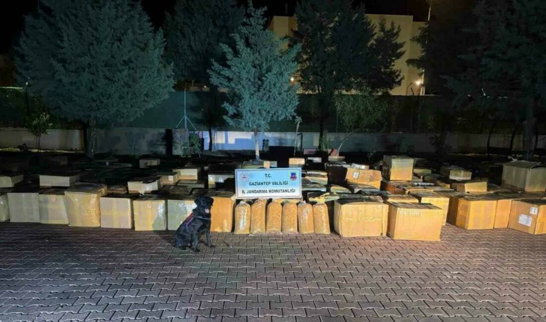 Gaziantep'in Araban ilçesinde gerçekleştirilen aramalarda, bir araçta 7 ton 100