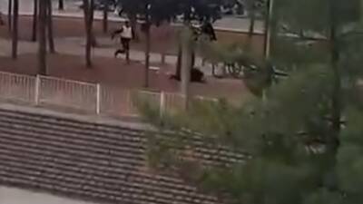 Gaziantep'in Nizip ilçesinde bir adamın karısını öldürdükten sonra kaçarken polis