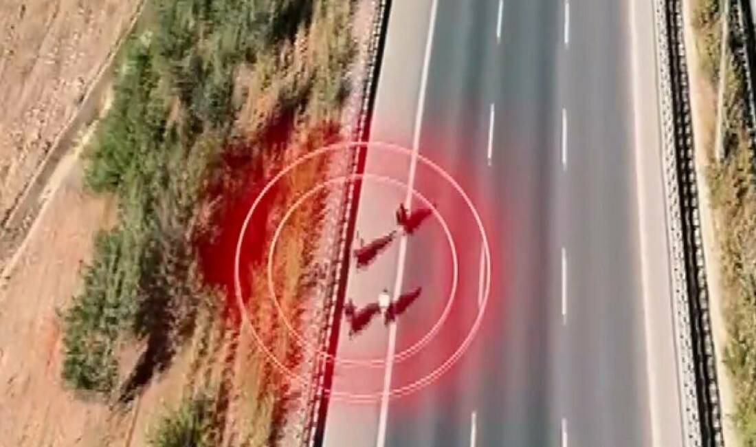 Gaziantep'te çevre yolunda yarış yapan 38 motosiklet sürücüsüne cezai işlem