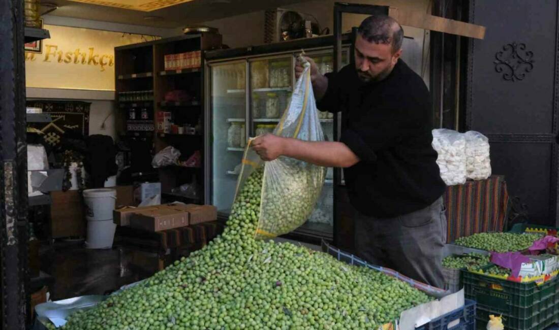 Gaziantep'te bu yıl don nedeniyle zeytin üretiminde düşüş yaşanırken fiyatlar