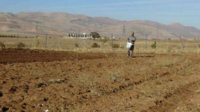 Gercüş ilçesinde çiftçiler, kış öncesinde buğday, arpa ve mercimek ekimi
