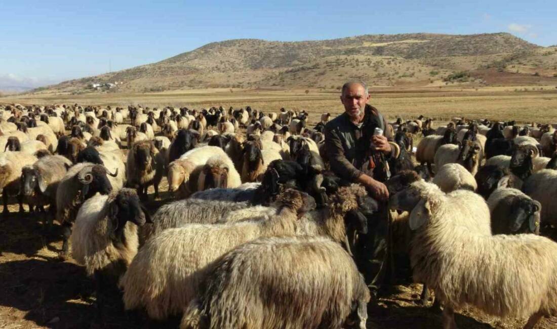 Batman’ın Gercüş ilçesinde havaların soğumasıyla birlikte Van, Bitlis ve Erzurum’dan