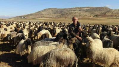 Batman’ın Gercüş ilçesinde havaların soğumasıyla birlikte Van, Bitlis ve Erzurum’dan