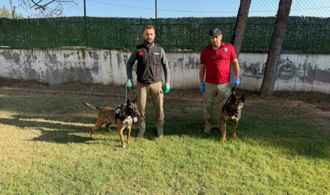 Batman İl Emniyet Müdürlüğü'nde görev yapan dedektör köpekler Hector ve