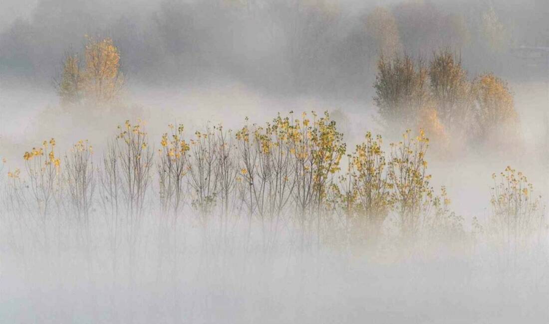 Hevsel’in sonbahar perdesi: Sisli bahçeler kartpostallık görüntüler oluşturdu Diyarbakır'ın tarihi Hevsel Bahçeleri, ekim-kasım aylarında ortaya çıkan yoğun sis