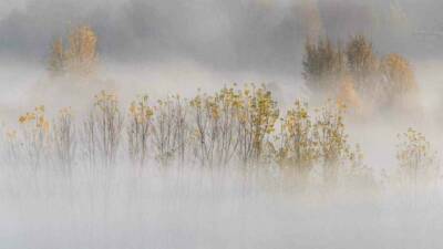 Diyarbakır'ın tarihi Hevsel Bahçeleri, ekim-kasım aylarında ortaya çıkan yoğun sis