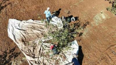 Şırnak'ın İdil ilçesine bağlı Kurtuluş köyünde Muhtar Mehmet Nuri Genç'in