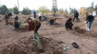 Diyarbakır Büyükşehir Belediyesi, Kadına Yönelik Şiddete Karşı Uluslararası Mücadele Günü'nde