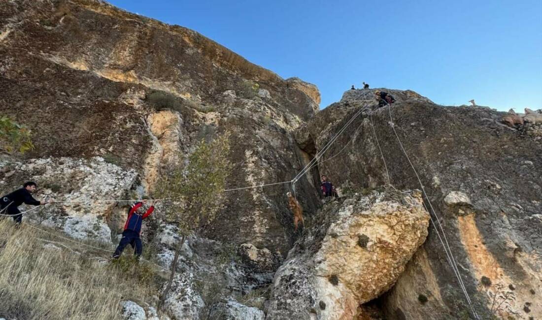 Diyarbakır'ın Eğil ilçesinde otlanırken kayalıklarda mahsur kalan 25 keçi, itfaiye
