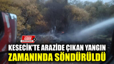 Besni'ye bağlı Kesecik Köyü Yemlice mezrasında arazide çıkan yangına hızlı