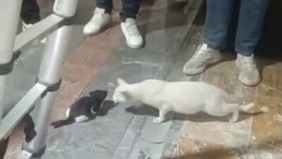 Batman'da bir iş yerinde meydana gelen olayda, yapay kolon boşluğuna