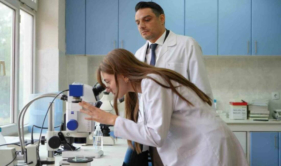 Kuraklığın ardından sinek istilası başladı Gaziantep’te son günlerde etkisini artıran küçük sinek (üvez) istilası, vatandaşların