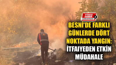 Besni’de dört ayrı bölgede çıkan yangınlar, itfaiye ekiplerinin hızlı müdahalesiyle