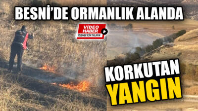 Besni'ye bağlı Taşlıyazı (Terbizek) Köyü mevkiinde çıkan yangında ormanlık alan