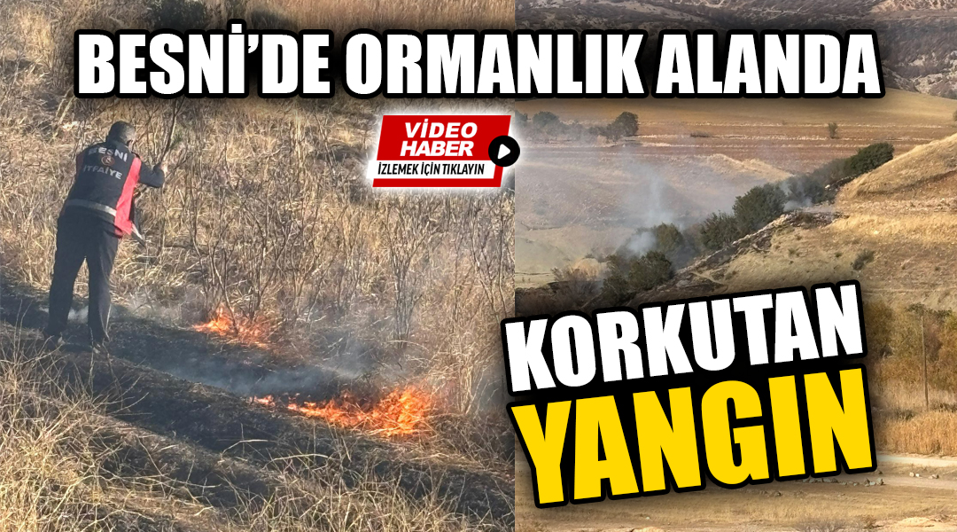Besni'ye bağlı Taşlıyazı (Terbizek) Köyü mevkiinde çıkan yangında ormanlık alan