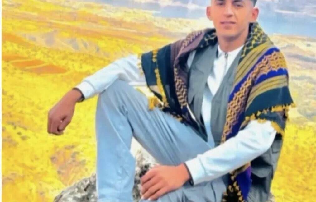 Mardin'in Dargeçit ilçesinde yaşanan İbrahim Dilek cinayetiyle ilgili geniş çaplı