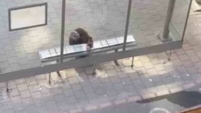 Mardin’in Midyat ilçesinde bir vatandaş, soğuk havalarda toplu taşıma durağında