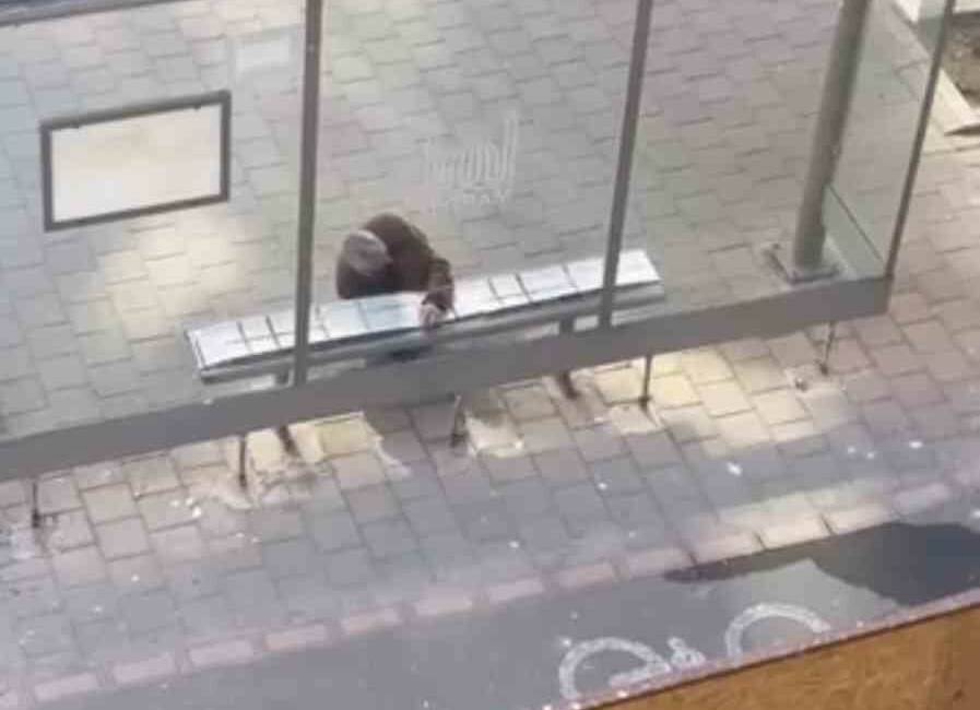 Mardin’in Midyat ilçesinde bir vatandaş, soğuk havalarda toplu taşıma durağında