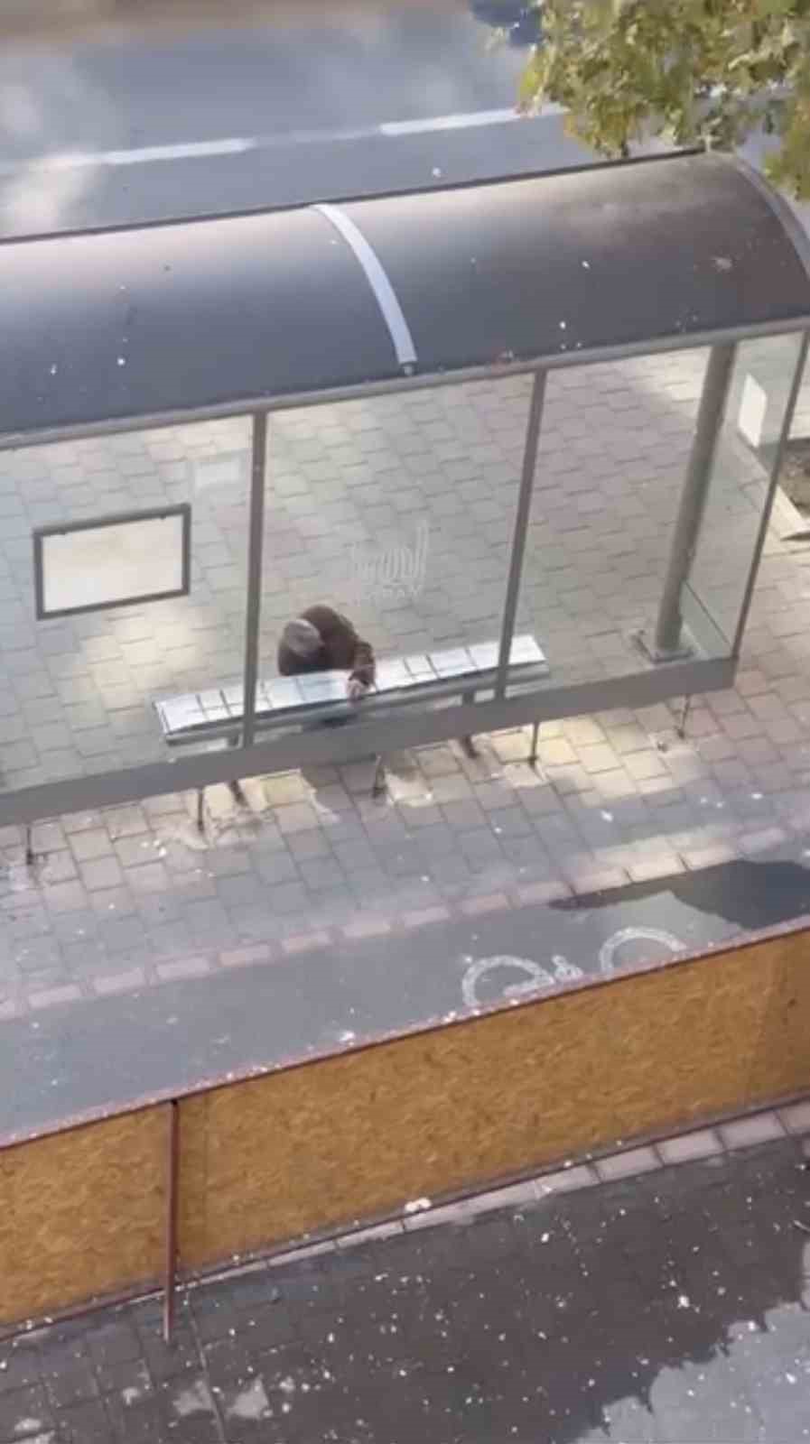 Mardin’in Midyat ilçesinde bir vatandaş, soğuk havalarda toplu taşıma durağında