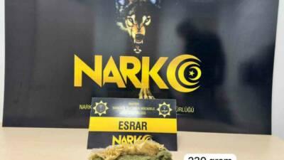 Mardin’in Artuklu ilçesinde düzenlenen uyuşturucu operasyonunda Narkotik Suçlarla Mücadele Şube