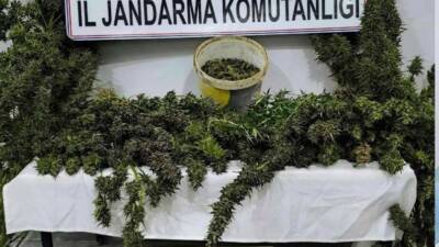 Mardin'de jandarma ekiplerince düzenlenen uyuşturucu operasyonunda Artuklu, Savur ve Derik