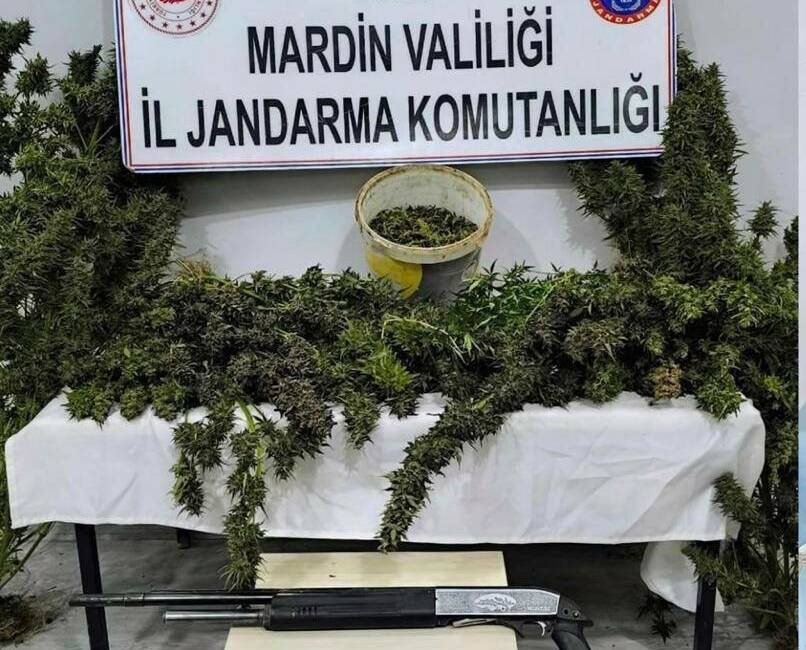 Mardin’de uyuşturucu operasyonunda 3 tutuklama Mardin'de jandarma ekiplerince düzenlenen uyuşturucu operasyonunda Artuklu, Savur ve Derik