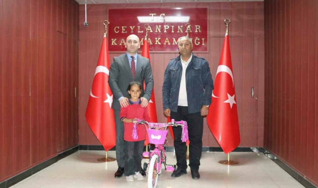 Ceylanpınar ilçesinde bulunan ilçe müftülüğünün duvarında asılı Türk bayrağını öpen