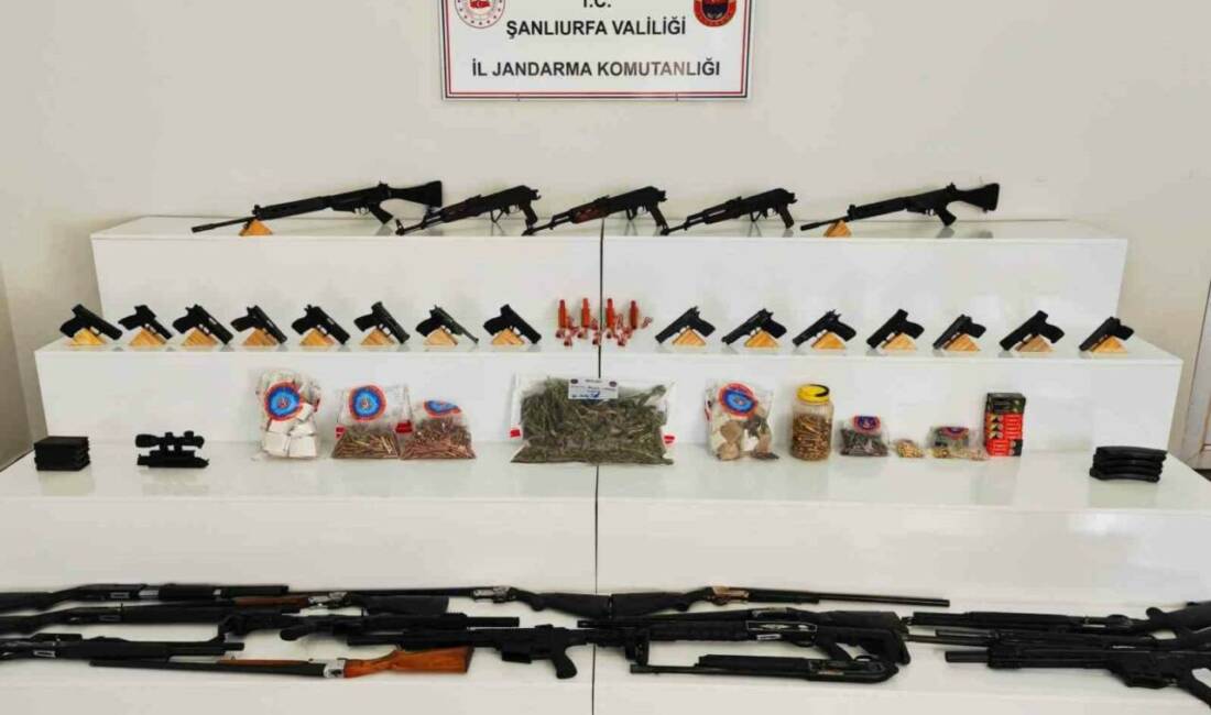 Mısır tarlasında patlayıcı madde ve silahlar ele geçirildi: 9 gözaltı Şanlıurfa’nın Viranşehir ilçesinde düzenlenen operasyonda silah kaçakçılarına yönelik geniş çaplı