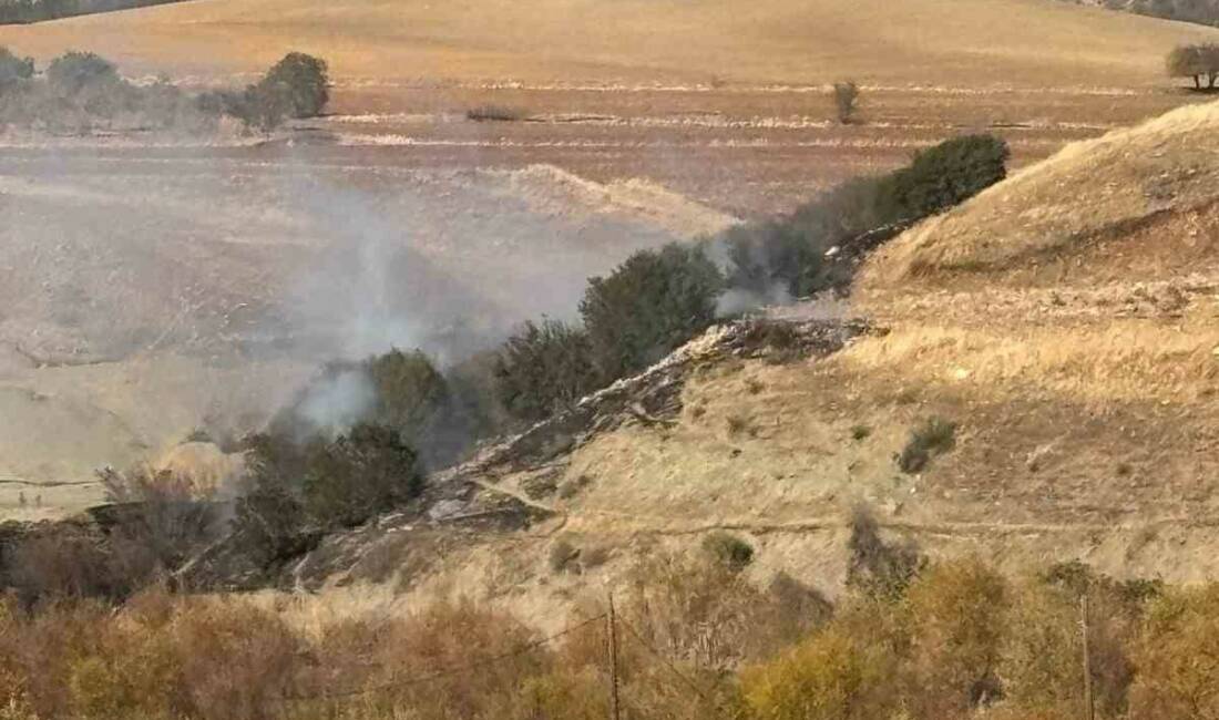Besni ilçesinde ormanlık alanda çıkan yangın ekipler tarafından kontrol altına