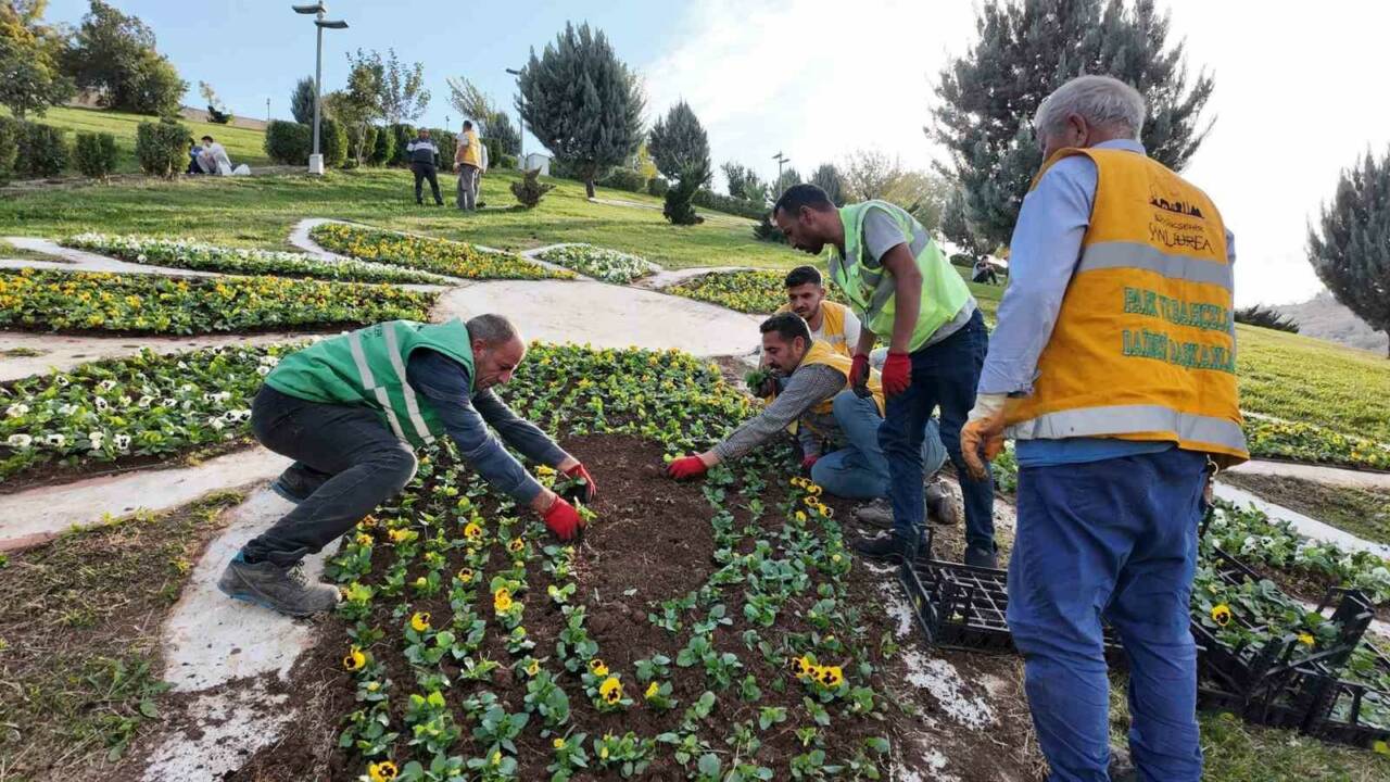 Şanlıurfa Büyükşehir Belediyesi, dışa bağımlılığı azaltmak, kendi öz kaynaklarını değerlendirmek