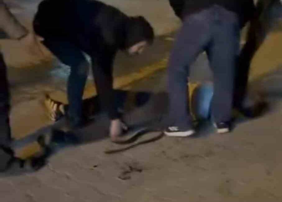 Şanlıurfa’da bıçaklı kavga: 3 yaralı Şanlıurfa'nın Haliliye ilçesinde Ahmet Yesevi Parkı yakınlarında iki grup arasında