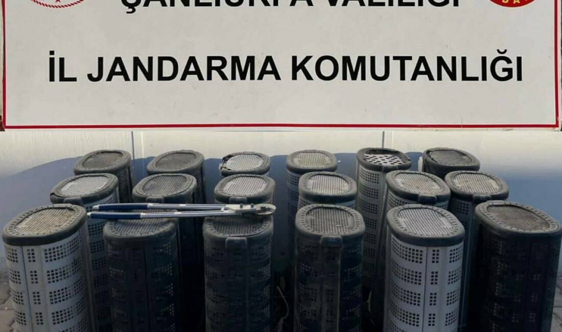 Şanlıurfa’da hırsızlık yapan 3 şahıs suçüstü yakalandı Şanlıurfa’da jandarma ekipleri tarafından hırsızlık yapan 3 şahıs suçüstü yakalandı.