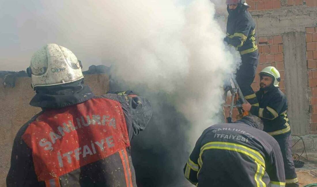 Şanlıurfa'nın Haliliye ilçesine bağlı Yeşildirek Mahallesinde bir evde çıkan yangın,