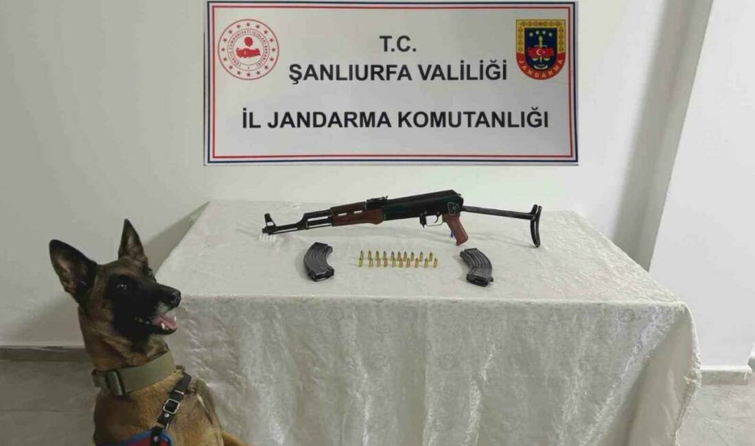 Şanlıurfa'da jandarma ekipleri tarafından düzenlenen operasyonda uzun namlulu bir silah